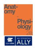 Test Bank for Anatomy and Physiology&comma; 2nd Edition by OpenStax &vert; All 28 Chapters &vert; Verified Questions & Answers &vert; ISBN&colon; 9781711494067 &vert; Updated 2025