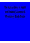 The Human Body in Health and Disease Anatomy & Physiology Study Guide Key Concepts Exam Preparation 2025&sol; 2026