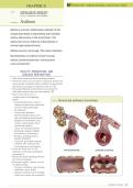 RN Adult Medical Surgical Nursing Chapter 21&colon; Asthma Management and Care&NewLine;