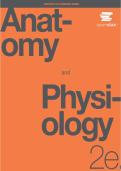 Anatomy and Physiology 2e &ndash; Instructor Answer Guide&comma; OpenStax Detailed Solutions and Teaching Support Material