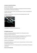 Airframe and Powerplant &lpar;A&P&rpar; Oral and Practical Study Guide 2026&sol;2027 &vert; FAA Mechanic O&P Exam Prep&NewLine;