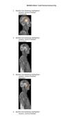 BIOS 251 Week 7 Lab Practical Answer Key &vert; Anatomy and Physiology Study Guide &vert; Complete Lab Review with Verified Solutions