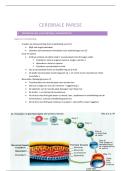samenvatting cerebrale parese 