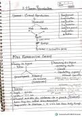 ISC Class 12 Biology&colon; Human Reproduction &vert; Comprehensive Nootan-Based Notes&sol;NEET revision&NewLine;