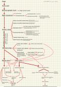 Flow chart arteries of the upper limb