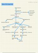 Flow chart veins of the lower limb