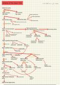 Flow chart arteries of the lower limb