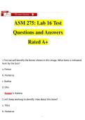 ASM 275&colon; Lab 16 Test Questions and Answers Rated A&plus;