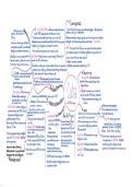 Summary Pearson Edexcel International GCSE &lpar;9-1&rpar; History -  History