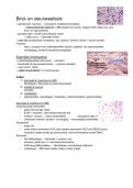 Samenvatting histologie&colon; Hoofdstuk 2&comma; Bind- & steunweefsel 