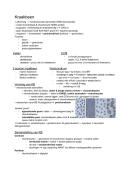 Samenvatting histologie&colon; Hoofdstuk 3&comma; Kraakbeen 