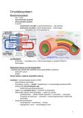 Samenvatting Algemene Histologie&colon; Alle hoofdstukken