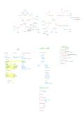 Strafrecht visuele schema's en stappenplannen