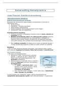 Samenvatting Hemodynamica Uitgebreid