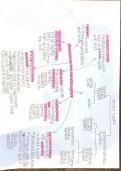 AQA A-LEVEL PSYCHOLOGY&colon; BIOPSYCHOLOGY MINDMAPS