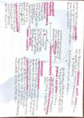 AQA A-LEVEL PSYCHOLOGY REVISION PACK &lpar;MINDMAPS&sol;TOPIC NOTES&rpar;