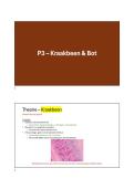 Practicum 3&colon; Kraakbeen & Bot &vert; Cellen en weefsels &vert; Universiteit Gent &vert; 2025&sol;26