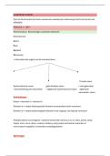 Algemene Chemie &vert; Nomenclatuur & Kristalroosters &vert; UGent &vert; 2025&sol;26