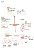IEB Physical Sciences Paper 2&colon; Energy changes