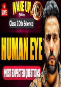 Latest Preview Thumbnail
