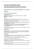 Jurisprudentiebundel Aansprakelijkheidsrecht &vert; RB1202 &vert; Open Universiteit &vert; 2025&sol;2026