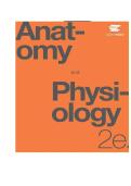 TEST BANK FOR anatomy and physiology 2nd Edition by OpenStax ISBN&colon; 9781711494067 COMPLETE GUIDE ALL CHAPTERS COVERED 1OO&percnt; VERIFIED A&plus; GRADE ASSURED&excl;&excl;&excl;&excl;NEW LATEST UPDATE&excl;&excl;&excl;&excl;&excl;GUARANTEED PASS&excl;&excl;&excl;