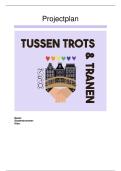 Projectplan Creatief ondernemen in de stad &vert; 8&comma;7