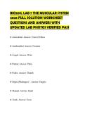 BIO201L STRAIGHTERLINE ANATOMY AND&NewLine;PHYSIOLOGY I LAB 7 THE MUSCULAR&NewLine;SYSTEM WORKSHEET 2026 FULL&NewLine;QUESTIONS AND CORRECT ANSWERS&NewLine;WITH LAB PHOTOS GRADED A&plus;