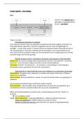 Hoorcolleges Sociale Cognitie &vert; UU &vert; 2024&sol;25