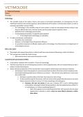 Samenvatting - Victimologie &lpar;B001508C&rpar;