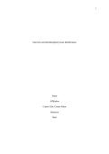 WGU C229&colon; assignment 5 Interview and Interdisciplinary Issue Identification &vert; 2026 Update