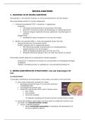 Neuro-Anatomie samenvatting