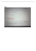 CHEM 219 LAB EXAMS 5-8 &vert; QUESTIONS AND ANSWERS &vert; 2026 UPDATE &vert; WITH COMPLETE SOLUTIONS - PORTAGE&period;