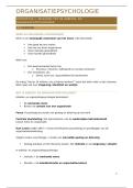Samenvatting -  Organisatiepsychologie