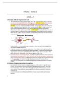 CMN 548 STUDY GUIDE TEST 4 &vert; 2026 UPDATED &vert; WITH COMPLETE SOLUTIONS&period;