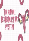 Female reproductive system 