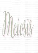 Meiosis 