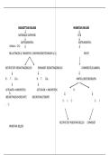 Schema budgettair en monetair beleid&vert; Economie &vert; Arteveldehogeschool &vert; 2025&sol;26