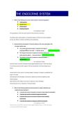 Week 6 eDAPT Endocrine System Study Guide &ndash; Nursing Concepts & Review Notes &lpar;Hormonal Regulation&rpar;