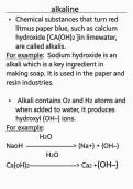 Comprehensive  Guide  to  Alkalis & Bases&colon;  Grade 9  Chemistry  Essentials
