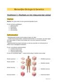 Samenvatting Hoofdstuk 3 &vert; Menselijke Biologie &vert; VUB &vert; 2025&sol;26