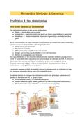 Samenvatting Hoofdstuk 4 &vert; Menselijke biologie &vert; VUB &vert; 2025&sol;26
