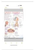 Class notes Life Sciences &lpar;Biology&rpar; 