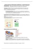 Samenvatting Celbiologie &vert; hoofdstuk 1-5 &vert; KU Leuven &vert; 2025&sol;26