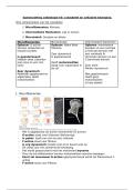 Samenvatting Celbiologie H5 &vert; Cytoskelet &vert; KU Leuven &vert; 2025&sol;26