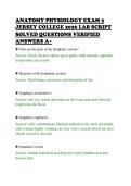 ANATOMY PHYSIOLOGY EXAM 2&NewLine;JERSEY COLLEGE 2026 LAB SCRIPT&NewLine;SOLVED QUESTIONS VERIFIED&NewLine;ANSWERS A&plus;&NewLine;