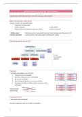 Module 8&colon; Haemodynamiek neonaat &vert; Pathologie kind &vert; Arteveldehogeschool &vert; 2025&sol;26
