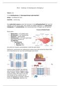 Samenvatting - beweging deel 2&excl; &lpar;Minor voedings- en beweegcoach&rpar; - cijfer kennistoets 8&comma;1