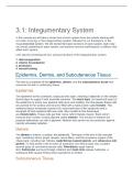 BIOD 103 Medical Terminology Module 3 Study Guide &vert; 2026 Update with complete solutions&period;