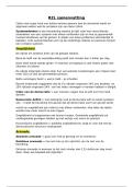 RZL Samenvatting &vert; Systeemdenken & Mondiale Ongelijkheid &vert; Arteveldehogeschool &vert; 2025&sol;26